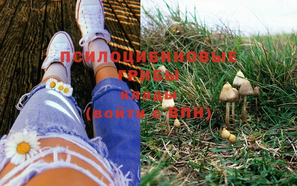 эйфоретик Богородицк