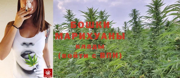 эйфоретик Богородицк