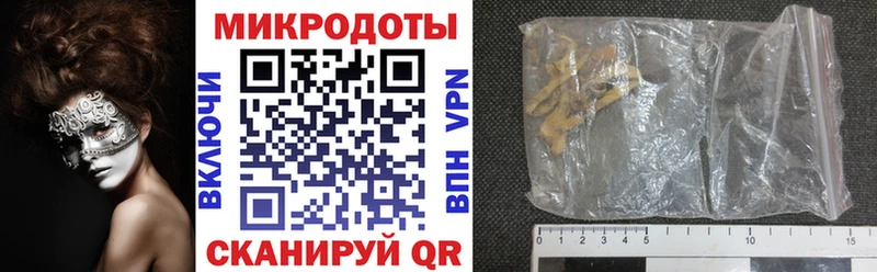Купить закладки  Курчатов  Псилоцибиновые грибы Psilocybe 
